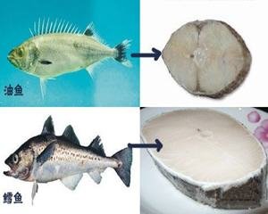 辨别真鳕鱼的五大技巧