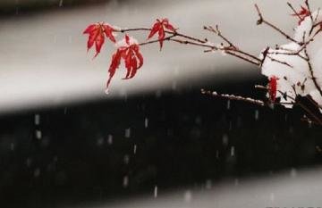 小雪吃什么好，吃哪些食物...