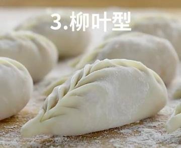 包饺子的步骤图解19