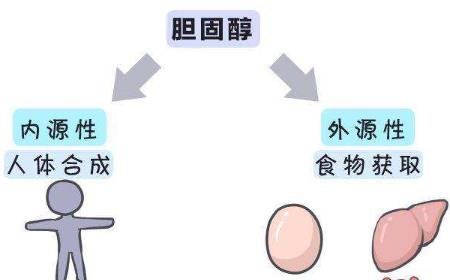 【讲解】总胆固醇偏低是什...