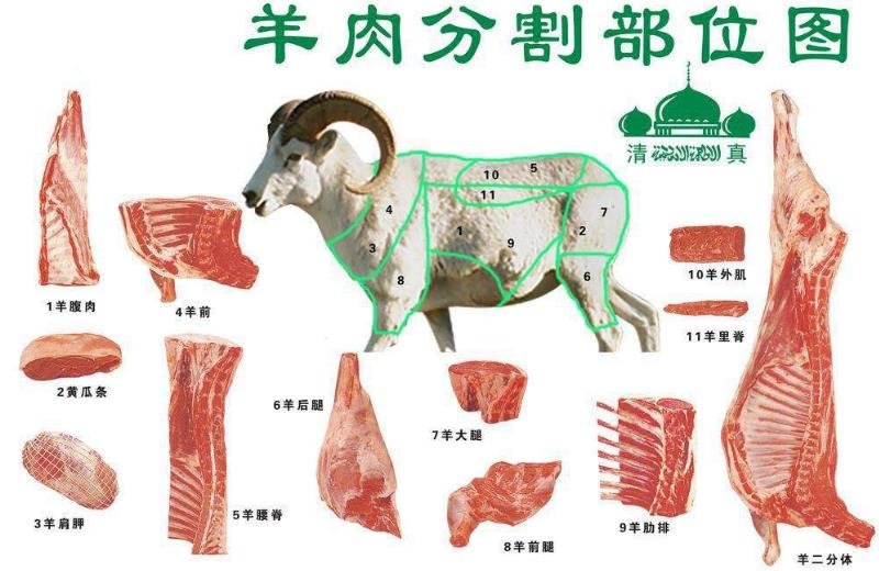 冬至为什么吃羊肉？