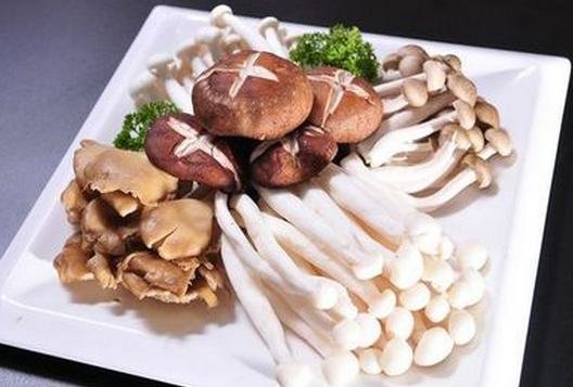 菌菇食谱大全