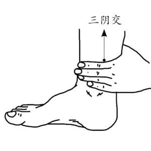 霜降时节：建议健脾润肺养肾气5