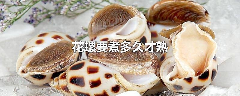 花螺要煮多久才熟？