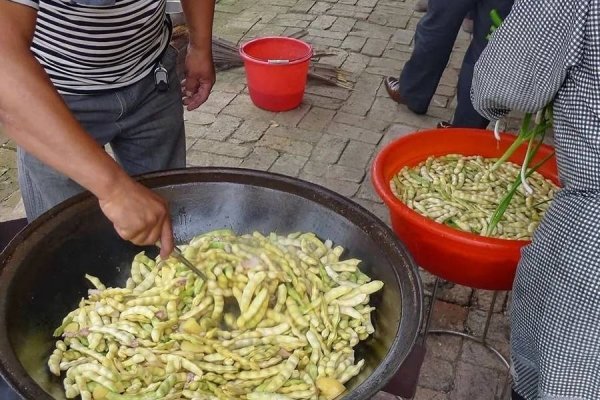 油豆角为什么叫油豆角-油豆角没炒熟会中毒吗4