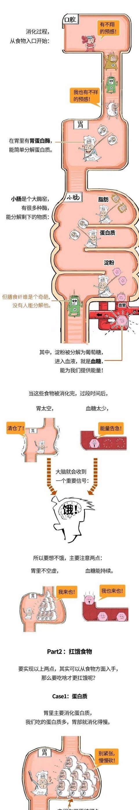 怎么囤食物-囤菜囤什么2