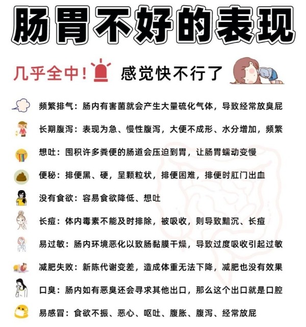 肠胃不好吃什么调理